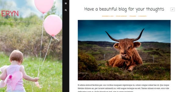 Шаблон Wordpress - Eryn