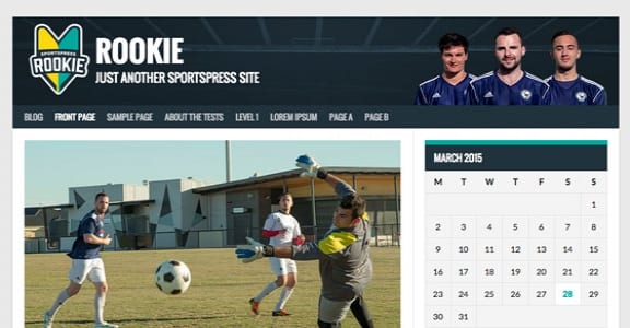 Шаблон Wordpress - Rookie