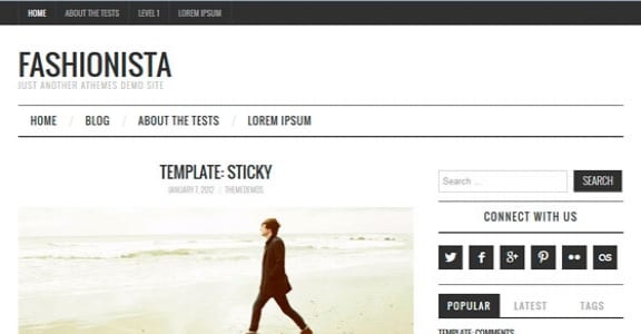 Шаблон Wordpress - Fashionistas