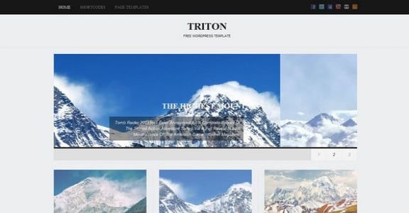 Шаблон Wordpress - Triton Lite